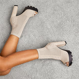 OOTDGIRL 2022 Women Fashion 12Cm High Heels 3.5Cm Platform Peep Toe Sandals Boots Nightclub Summer Sandles Block Heels Sexy Mesh Shoes
